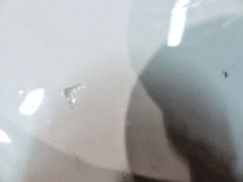 Médaillon faïence sculpture bas-relief portrait Victor Hugo E.Lachenal XXème