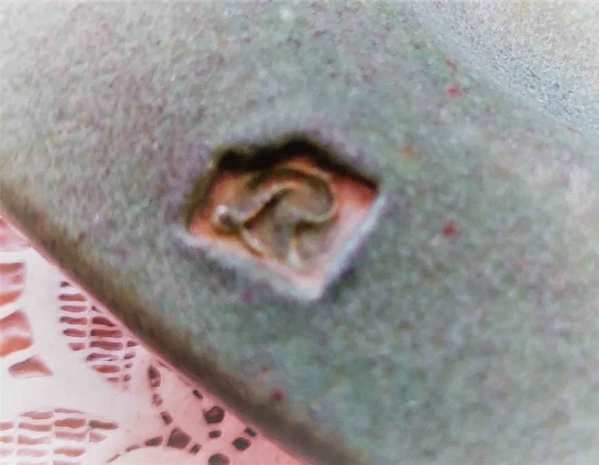 Remi LACOMBE 设计的椭圆形盘子