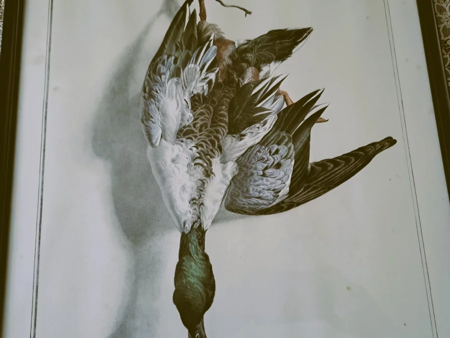 DRUCK nach Edouard Traviés