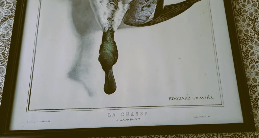 DRUCK nach Edouard Traviés