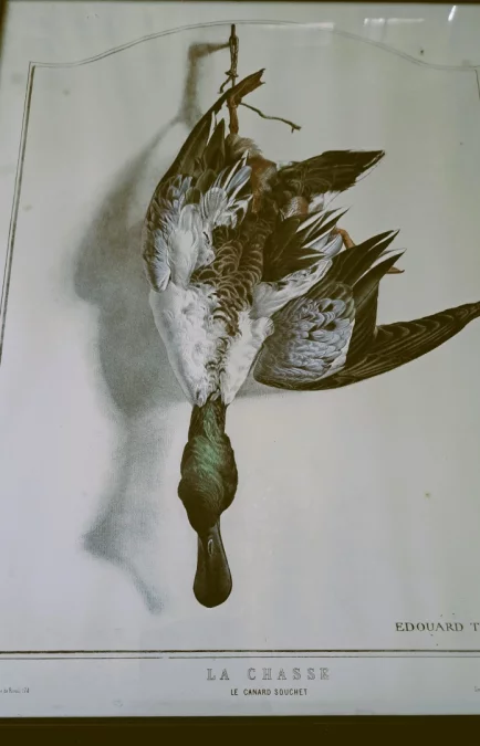 DRUCK nach Edouard Traviés