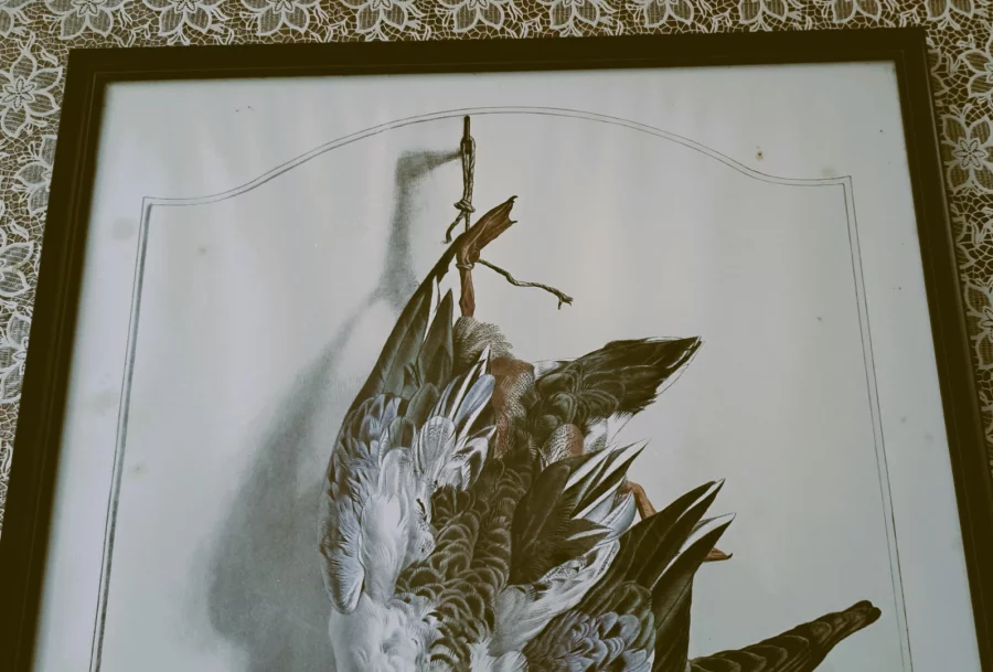 DRUCK nach Edouard Traviés