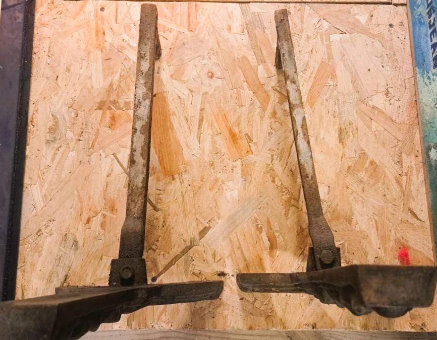 COPPIA DI CANI DA FUOCO