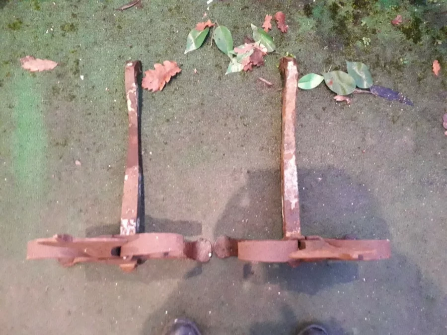 COPPIA DI CANI DA FUOCO