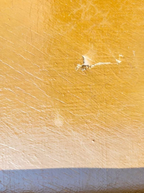 COPPIA DI NATURA MORTA DI FAGIANI