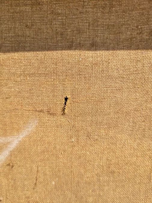 COPPIA DI NATURA MORTA DI FAGIANI