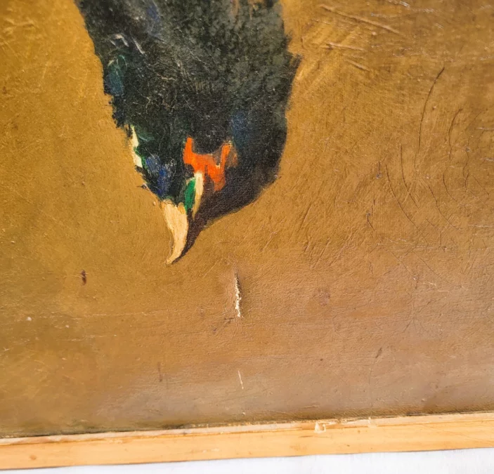 COPPIA DI NATURA MORTA DI FAGIANI