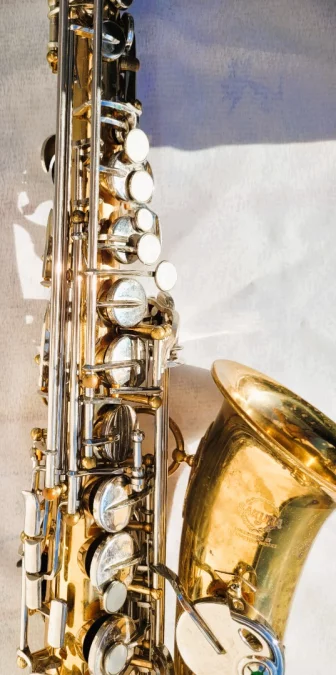 SAKURA SAXOPHON UND ETUI