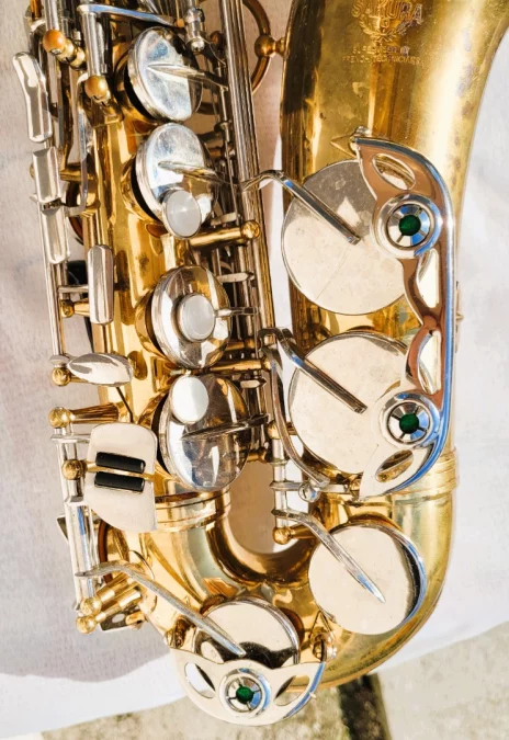 SAKURA SAXOPHON UND ETUI