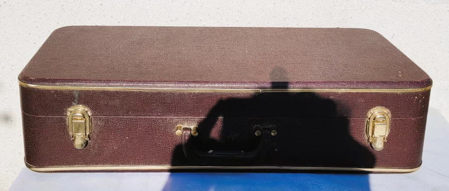SAKURA SAXOPHON UND ETUI