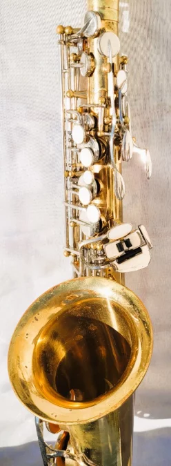 SAKURA SAXOPHON UND ETUI