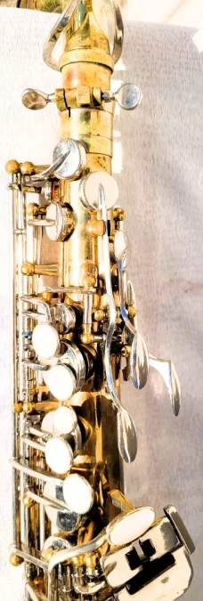 SAKURA SAXOPHON UND ETUI