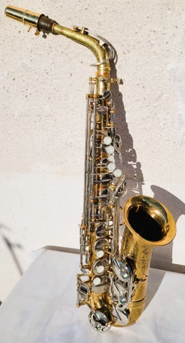 SAKURA SAXOPHON UND ETUI