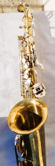 SAKURA SAXOPHON UND ETUI