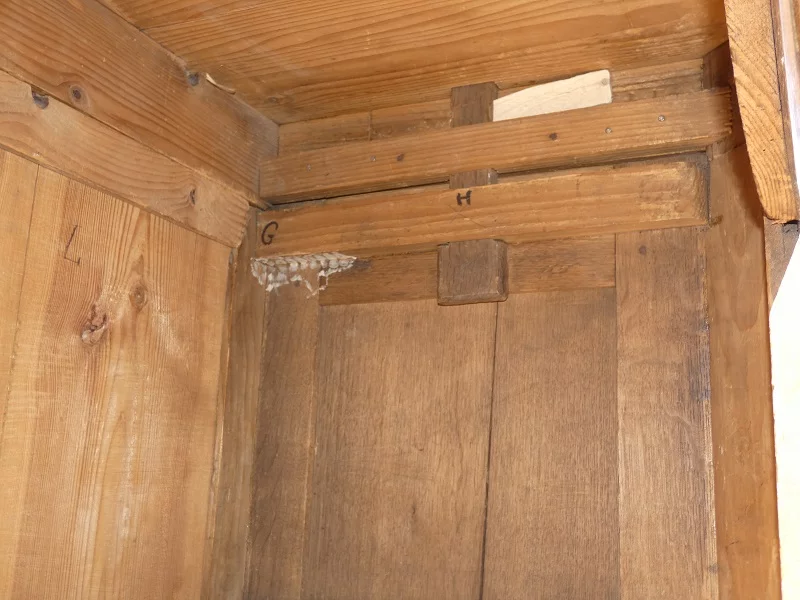 Armoire Baroque louis XVI 18 ème Allemagne