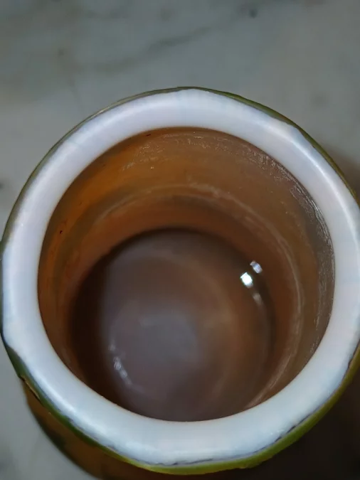 JUGENDSTIL-VASE von LEGRAS