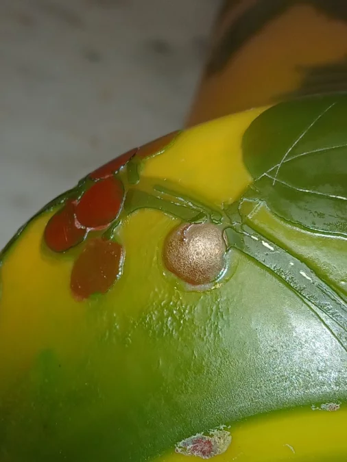 JUGENDSTIL-VASE von LEGRAS