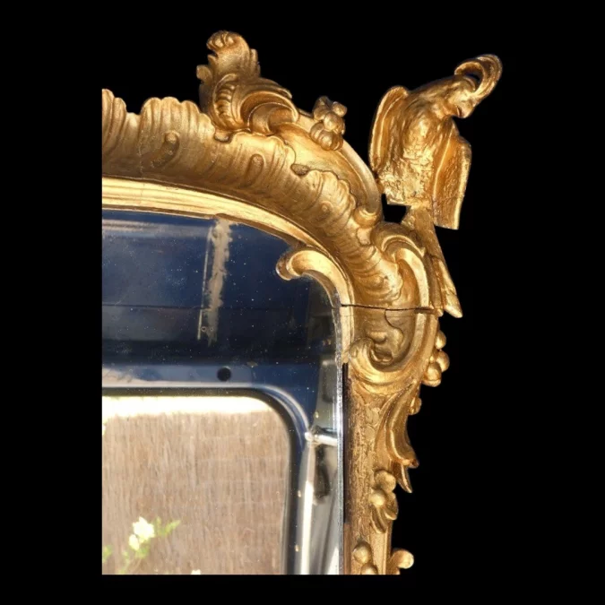 Miroir de boiserie "aux perroquets" en bois sculpté et laqué de style Louis XV