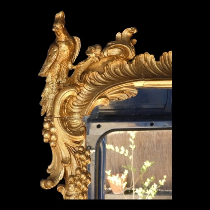 Miroir de boiserie "aux perroquets" en bois sculpté et laqué de style Louis XV