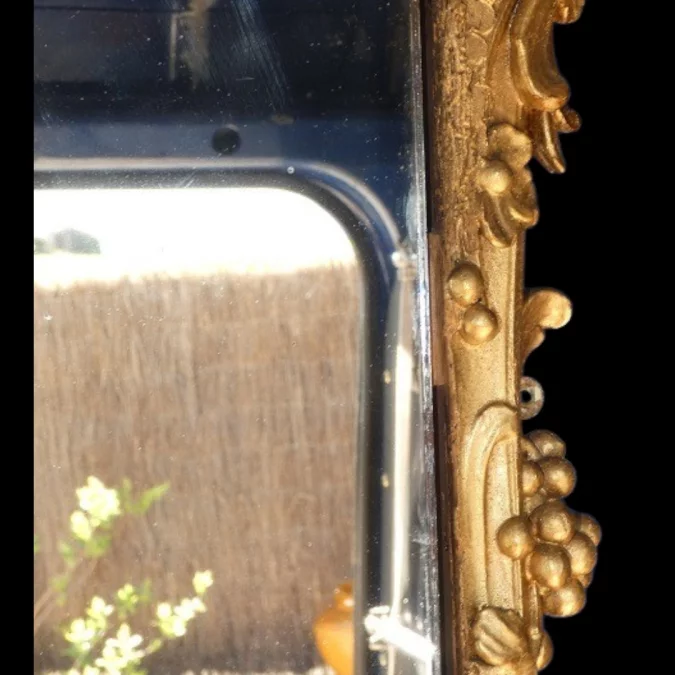 Miroir de boiserie "aux perroquets" en bois sculpté et laqué de style Louis XV