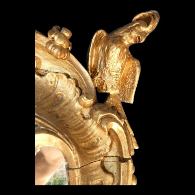 Miroir de boiserie "aux perroquets" en bois sculpté et laqué de style Louis XV