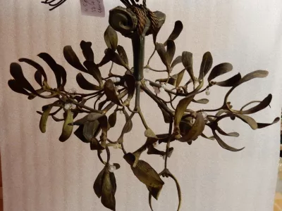 1900′ Art Nouveau Bronze Mistletoe Ball Chandelier with 3 Lamps Diameter 45 cm Sockets In the Shape of Tulips