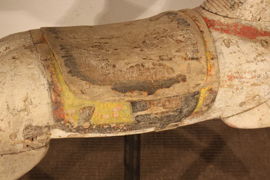 CAVALLO DELLA GIOSTRA