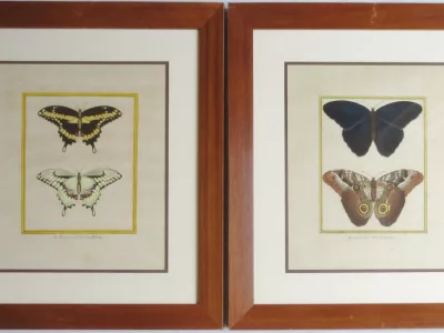 Paire de gravure de Martinet, XVIIIe siècle.