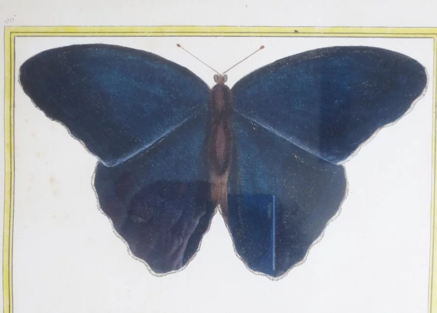 COPPIA DI STAMPE DEL XVIII SECOLO