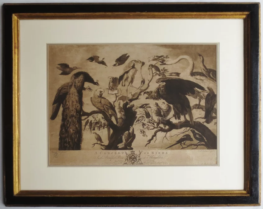 Gravure XVIIIe siècle, « A Concert of Birds ».