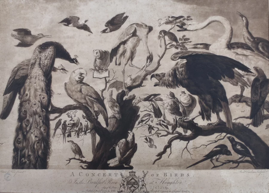 Gravure XVIIIe siècle, « A Concert of Birds ».