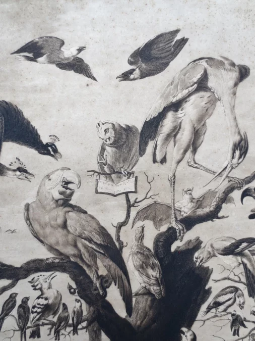 Gravure XVIIIe siècle, « A Concert of Birds ».