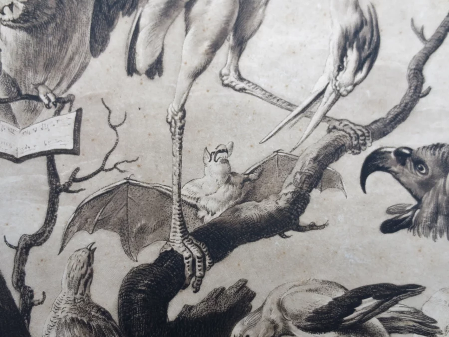 Gravure XVIIIe siècle, « A Concert of Birds ».
