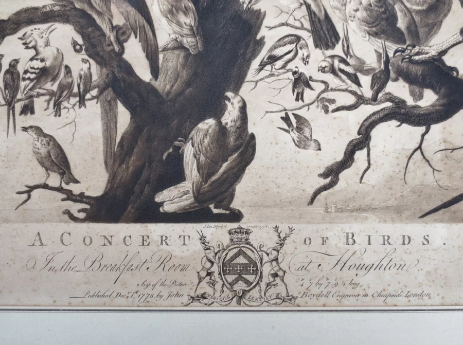 Gravure XVIIIe siècle, « A Concert of Birds ».