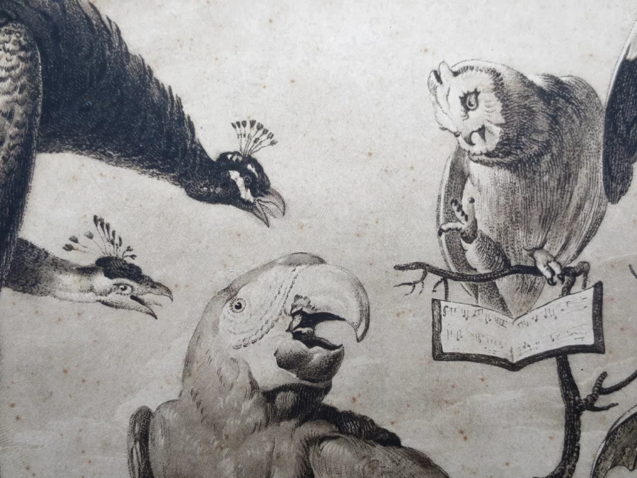 Gravure XVIIIe siècle, « A Concert of Birds ».