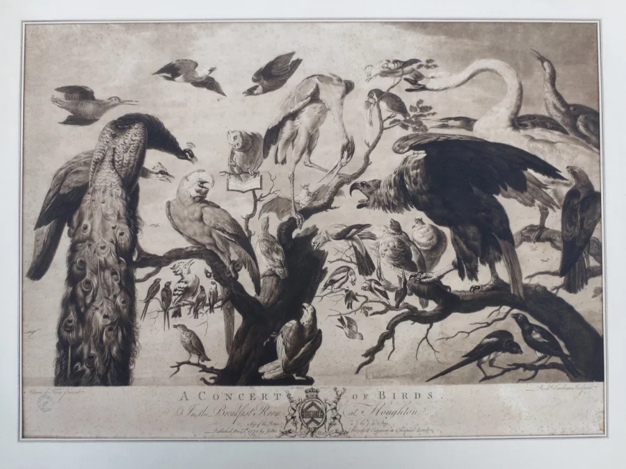 Gravure XVIIIe siècle, « A Concert of Birds ».