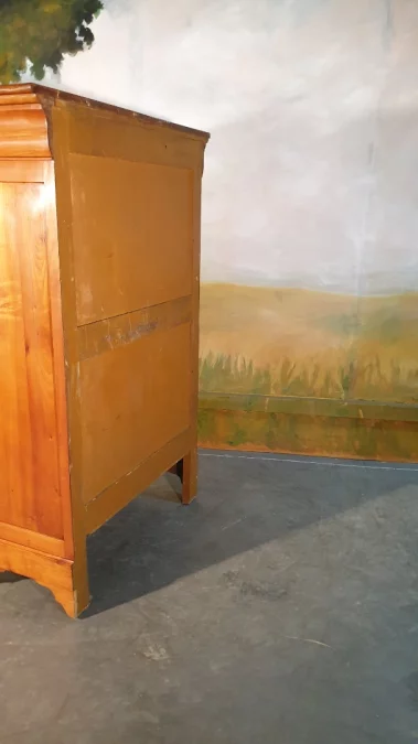 ШКАФ В СТИЛЕ ФРАНЦУЗСКОЙ АМПИРИИ