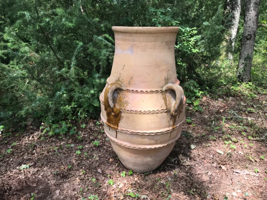 AMPHORA