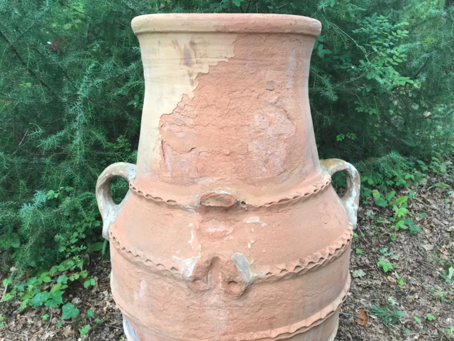 AMPHORA