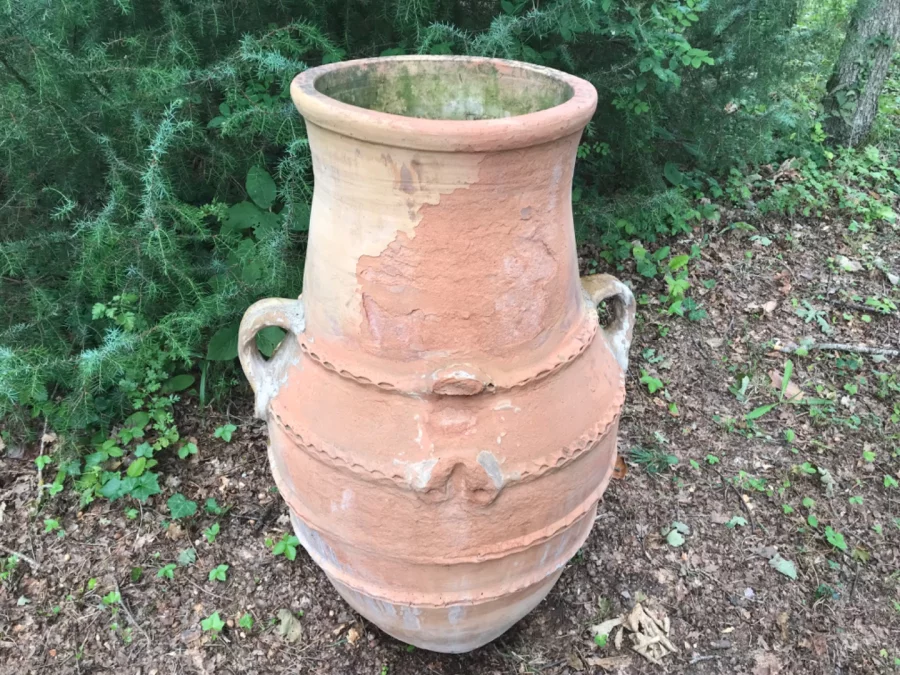 AMPHORA
