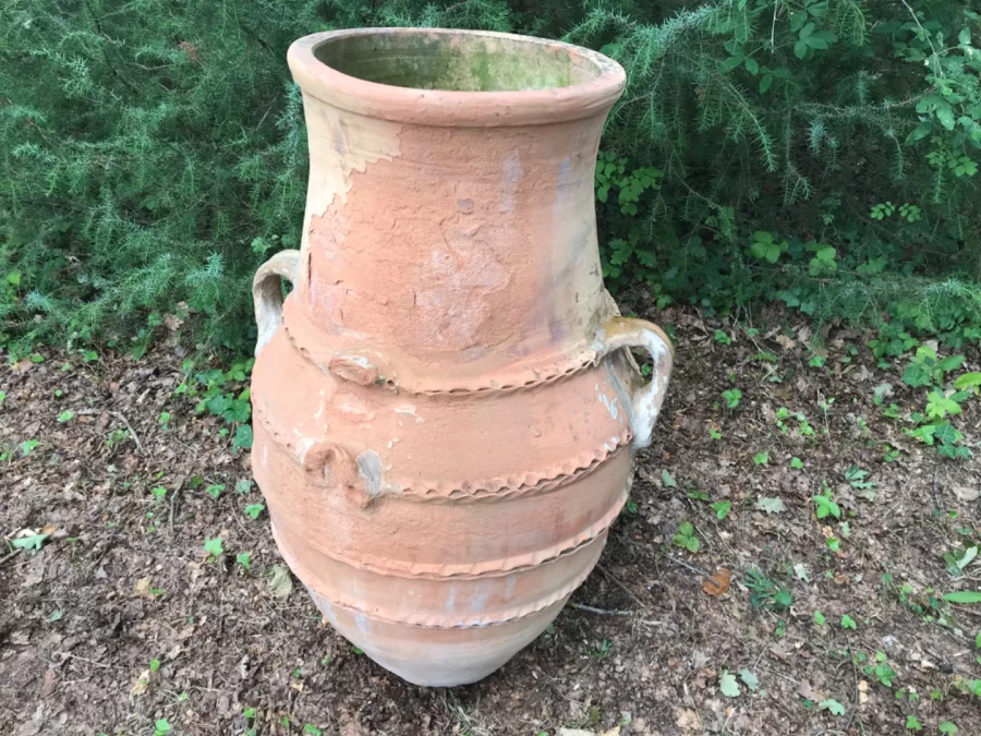 AMPHORA