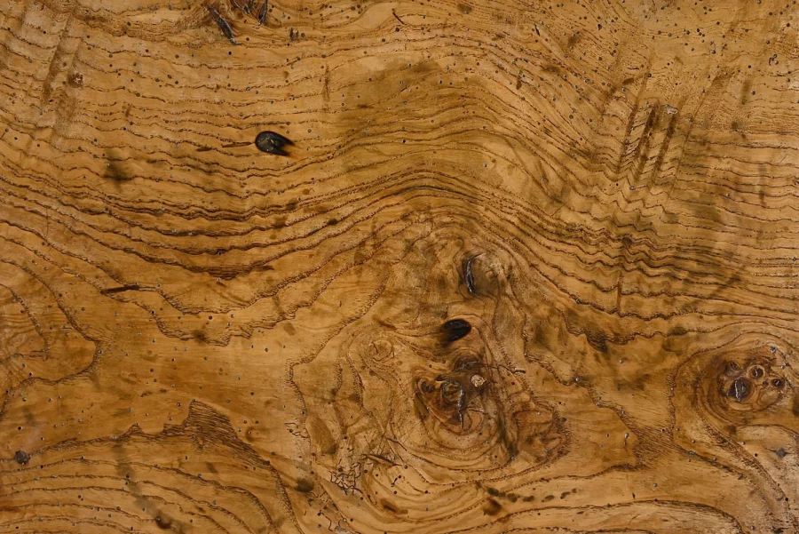 Chevet en Frêne, époque Restauration – 1ère partie XIXe