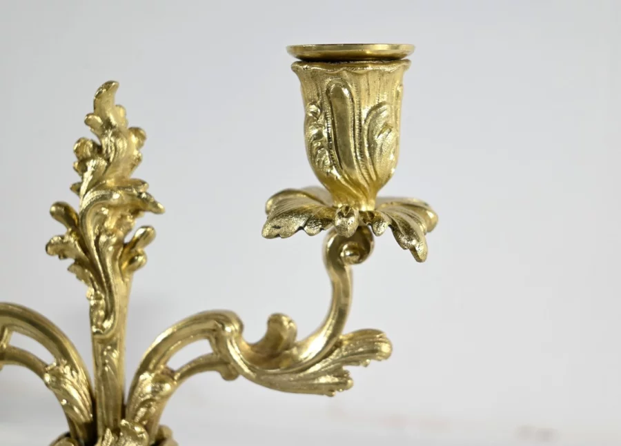 GUARNIZIONE DEL CAMINO