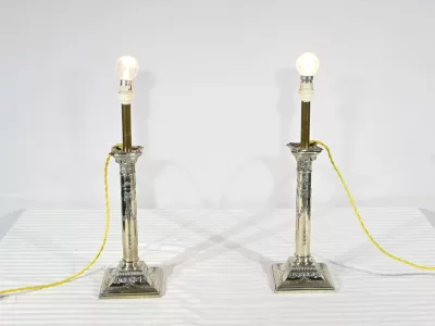 СЕРЕБРЯНЫЕ ПЛАСТИНЧАТЫЕ ЛАМПЫ