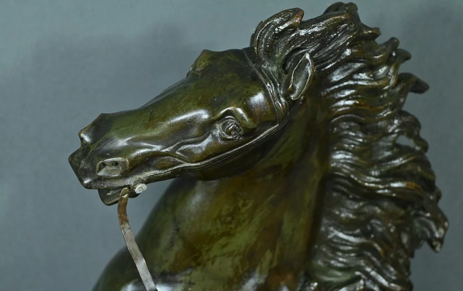 БРОНЗА по Кусту