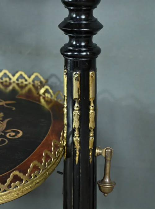 PERIODO DI NAPOLEONE III COSA NON