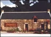 Antiquités de Poul Benn