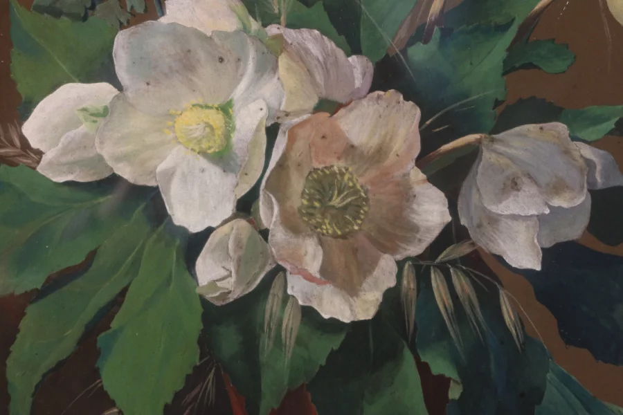 PINTURA FIRMADA Y FECHADA DE HELLEBORES