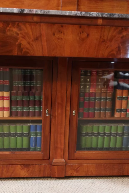 LIBRERÍA DEL SIGLO XIX